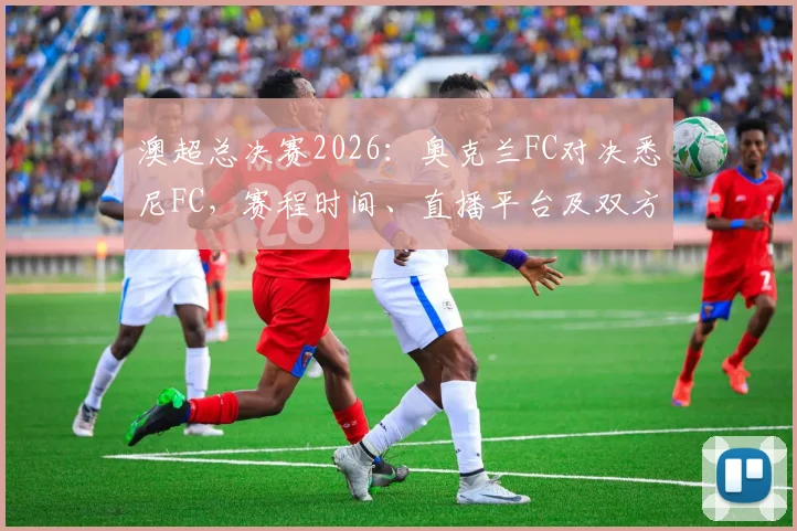 澳超总决赛2026：奥克兰FC对决悉尼FC，赛程时间、直播平台及双方阵容实力深度解读